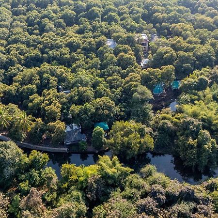 Brook Ville Сасан Гир Екстериор снимка