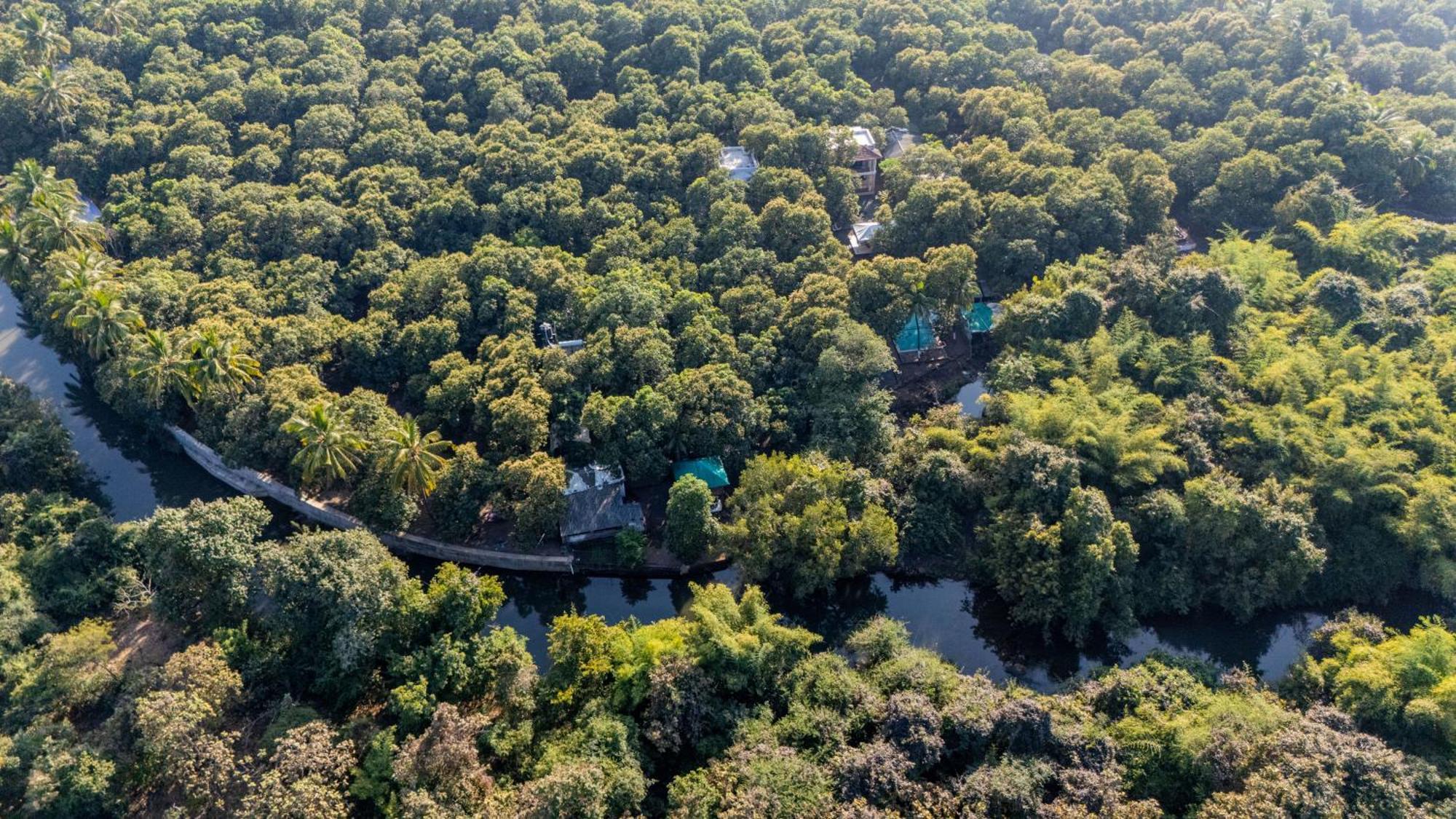 Brook Ville Сасан Гир Екстериор снимка